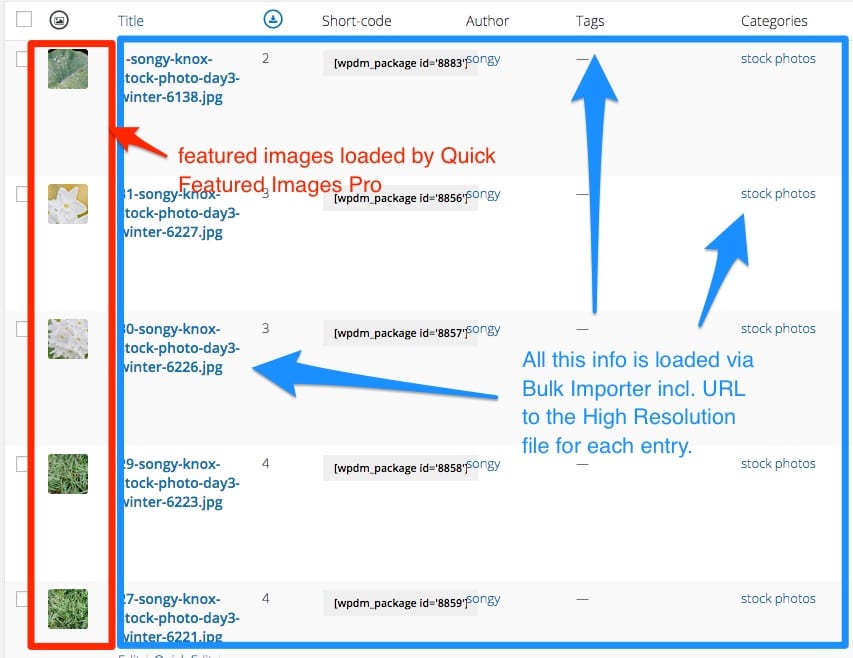 wp-download-manager-file-list